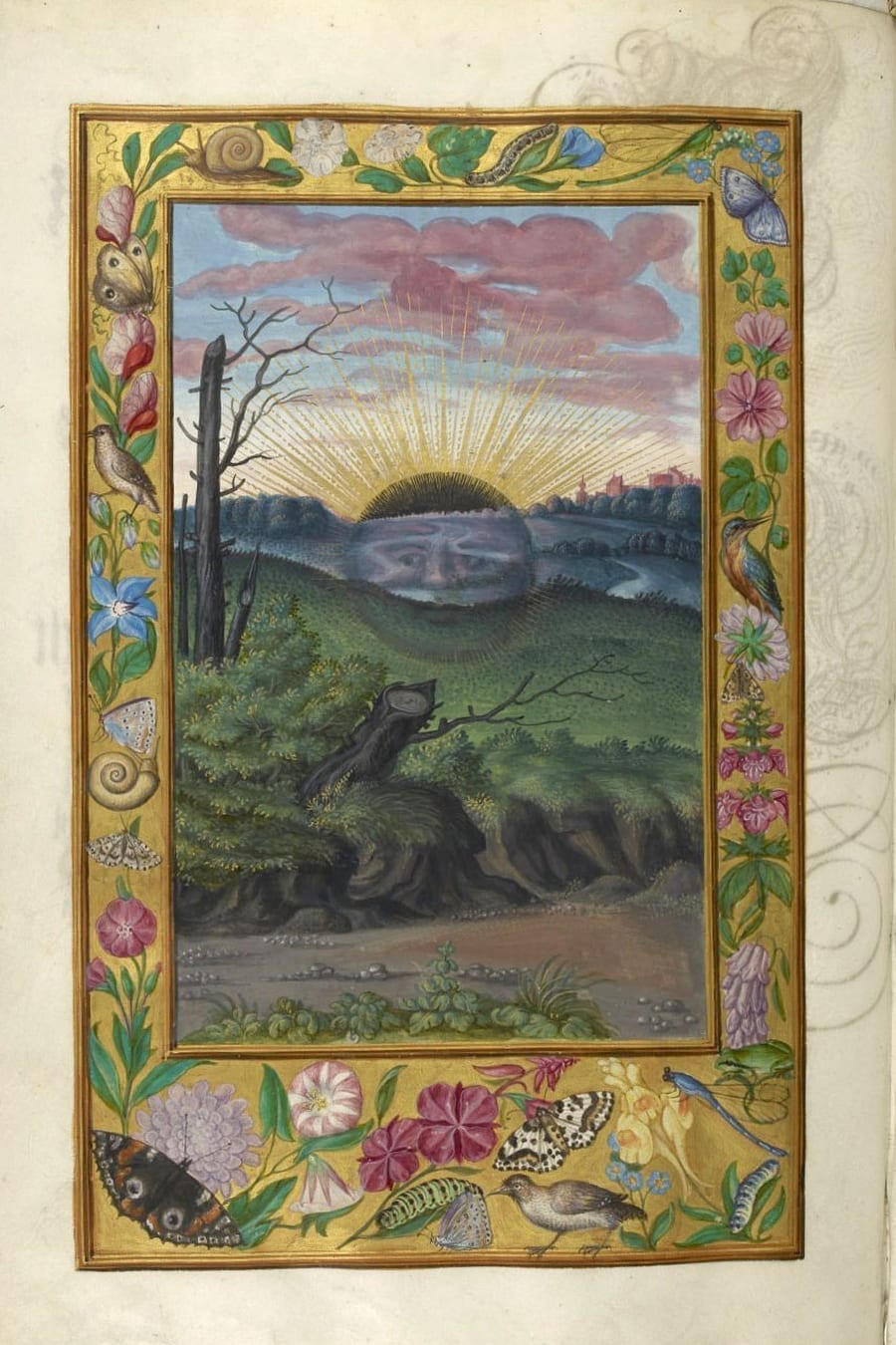 Illustration of a black sun from the Alchemical manuscript Splendor Solis