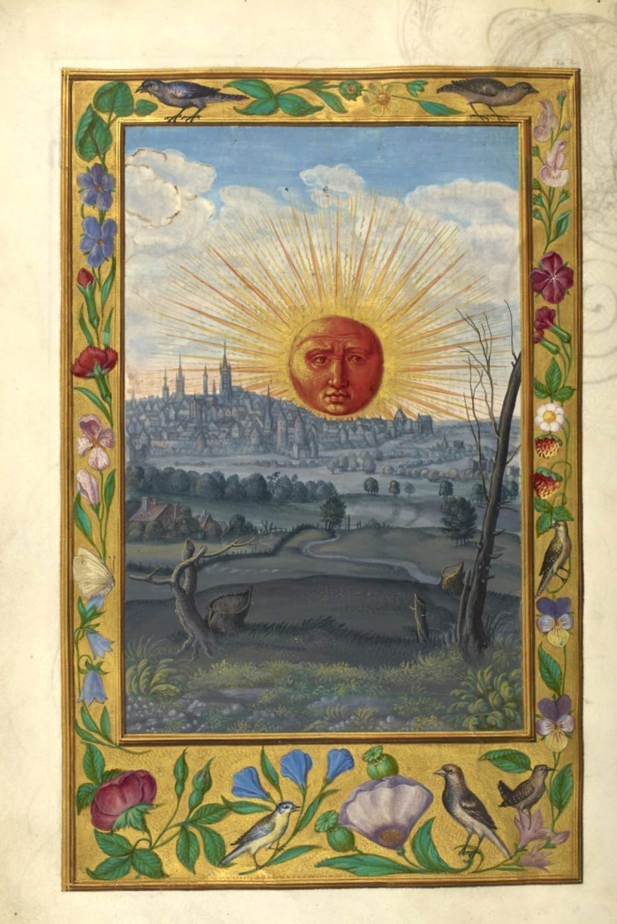 Illustration of the sun from the Alchemical manuscript Splendor Solis