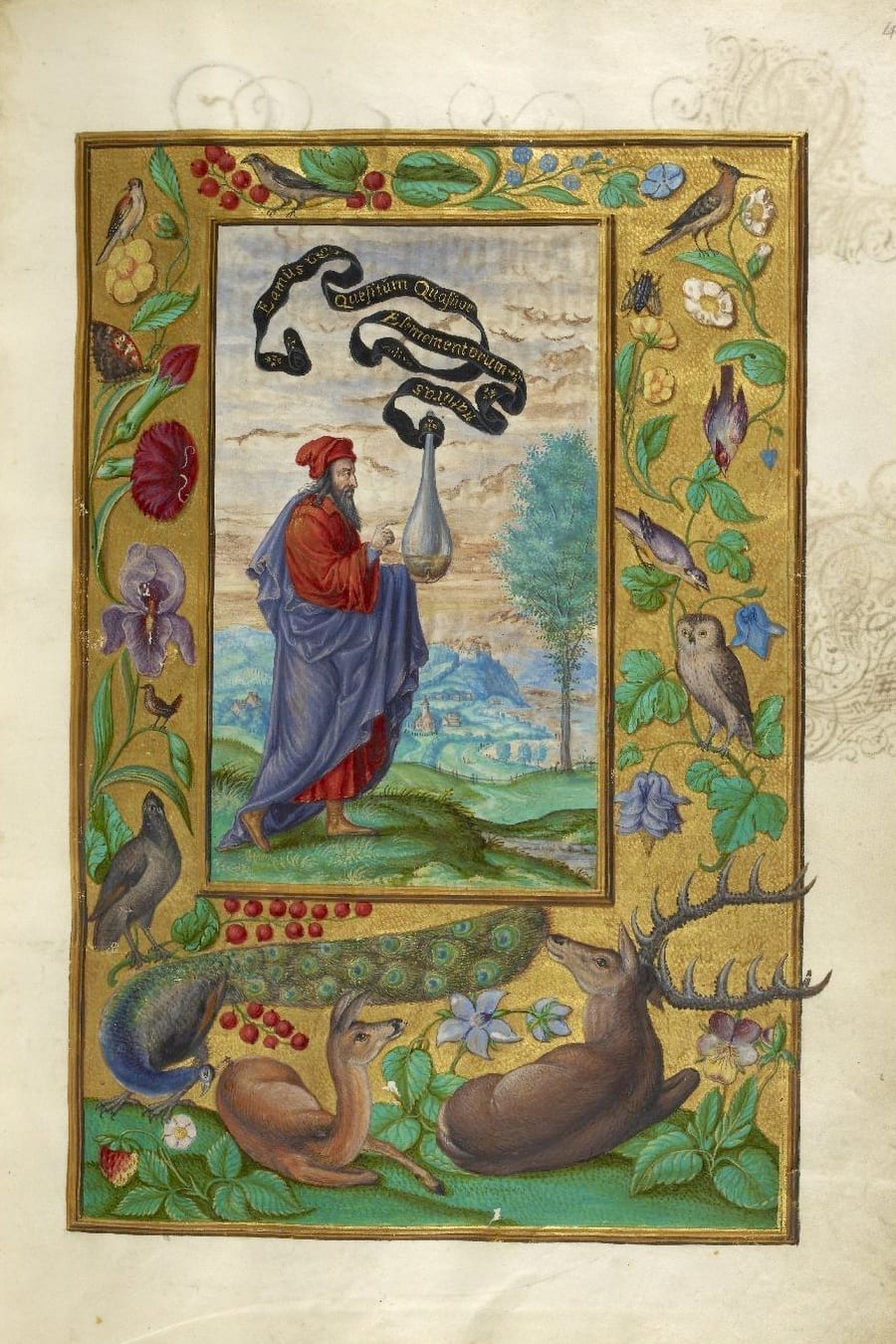 Illustration of man in red robe from the Alchemical manuscript Splendor Solis