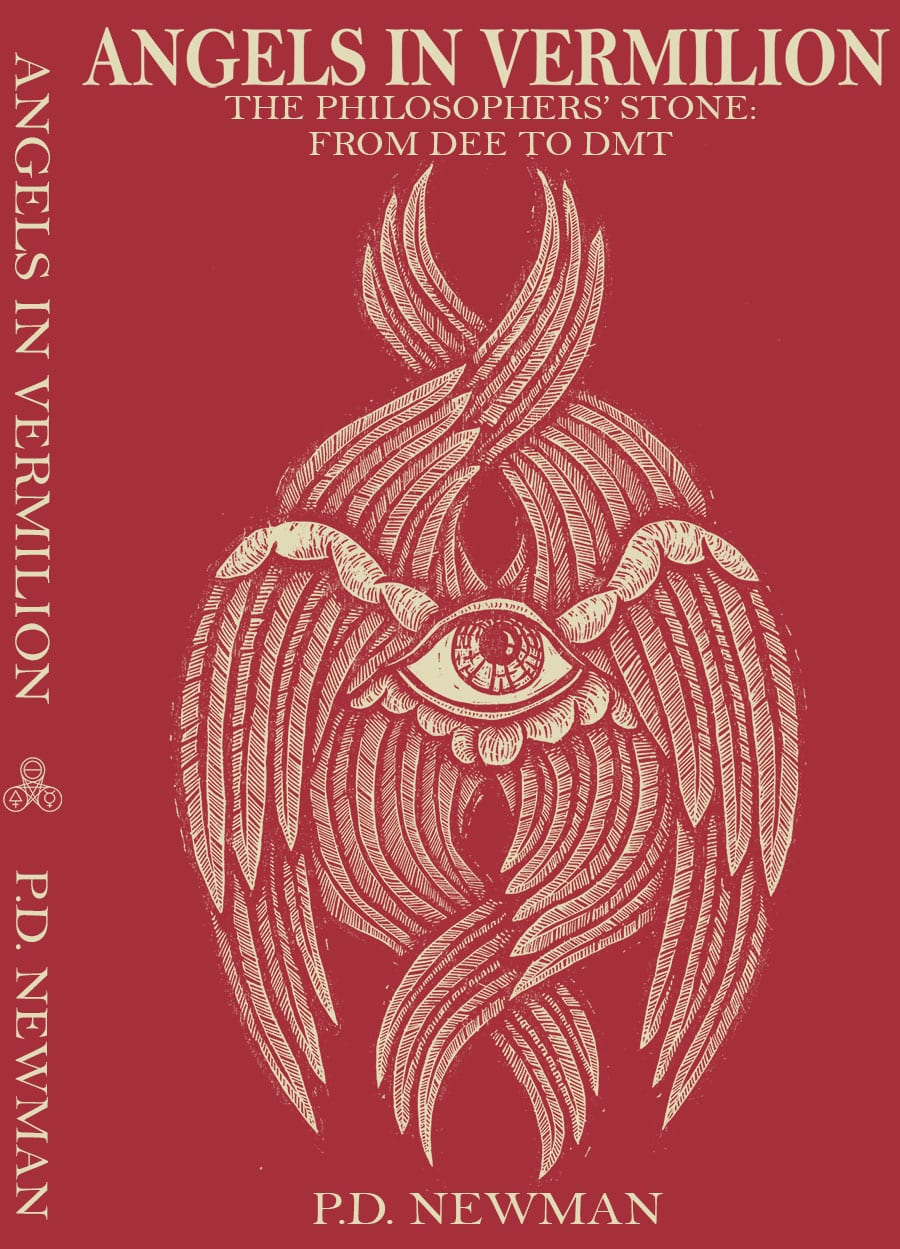 illustrated cover of Angels in Vermillion Book