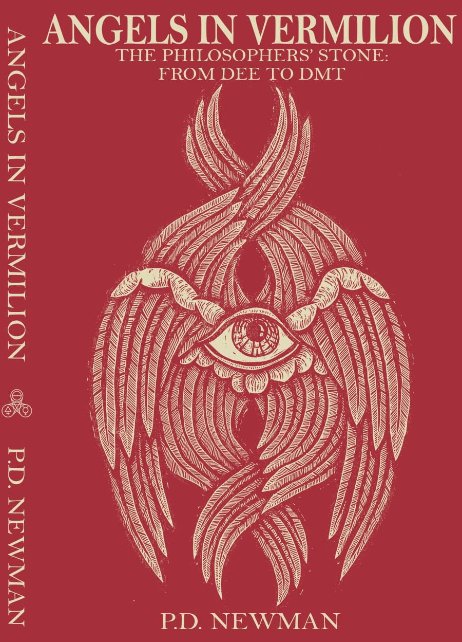 Angels_in_Vermillion_Book_Cover illustrated cover of Angels in Vermillion Book