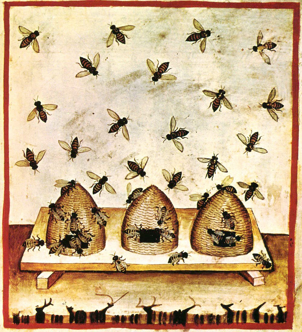photo of medieval painting on bees and behives